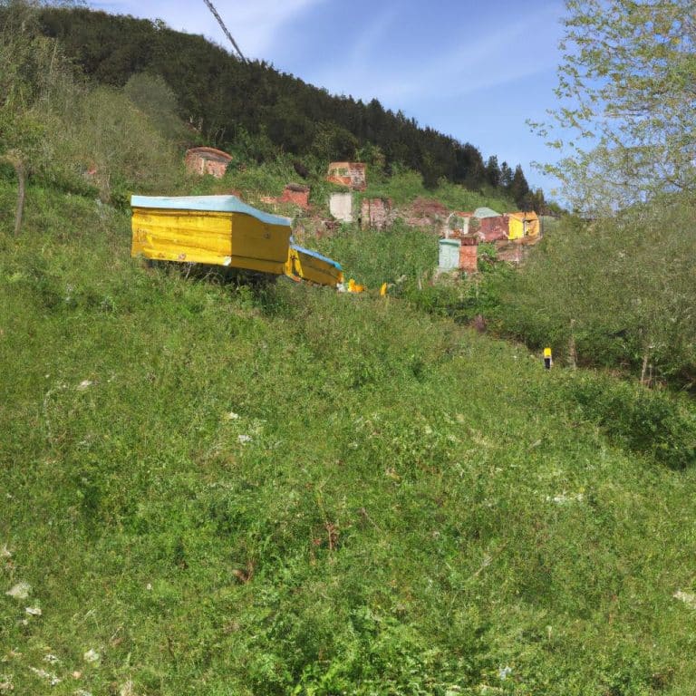 Ruyada Bozuk Para Vermek