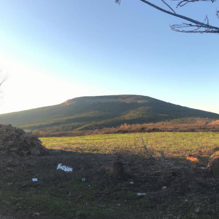 Ruyada Bugday Basagi Gormek