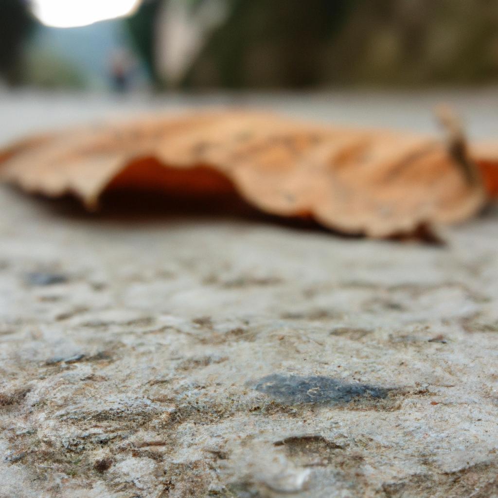 Ruyada Bugday Gormek Ne Anlama Gelir