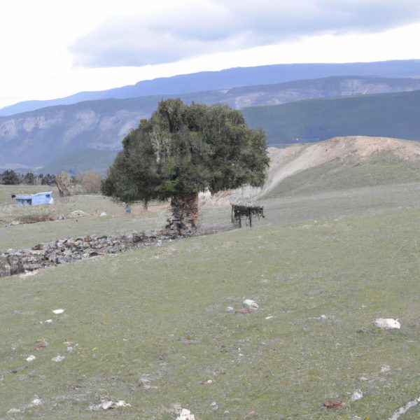 Ruyada Bugday Gormek Ne Demektir