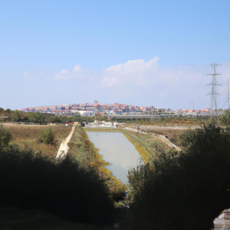 Ruyada Bugday Gormek Nedir