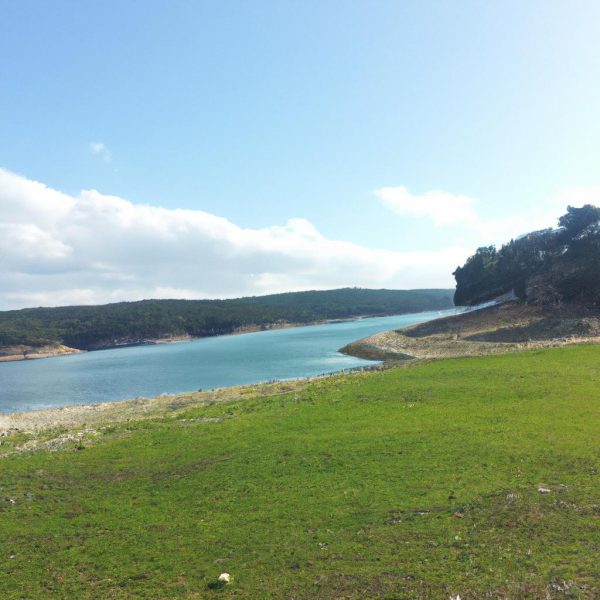 Ruyada Bugday Taneleri Gormek