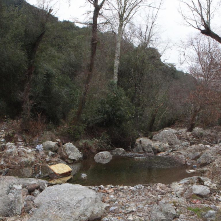 Ruyada Bugday Yikamak