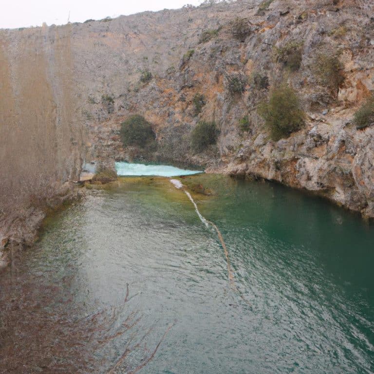 Ruyada Bukalemun Gormek