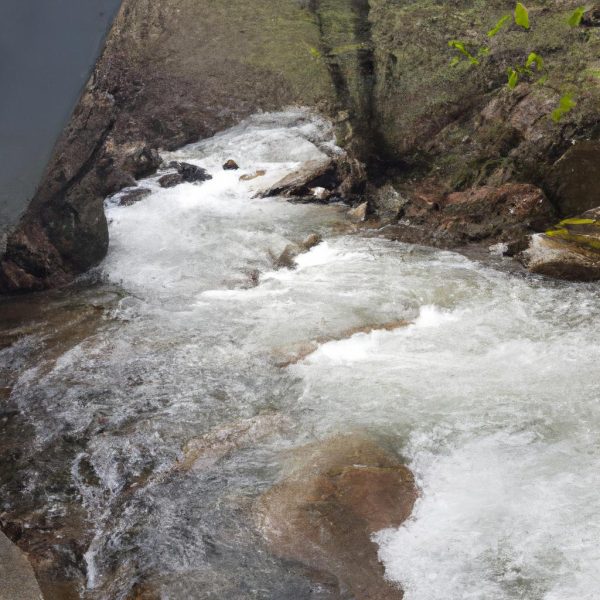 Ruyada Burnundan Kan Gelmesi