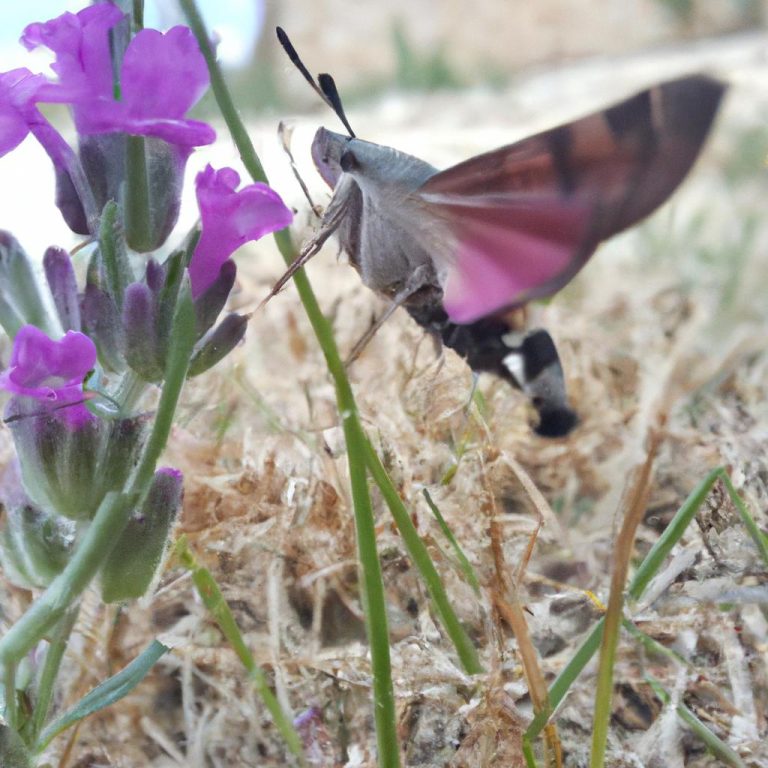 Ruyada Buyuk Abdest Gormek