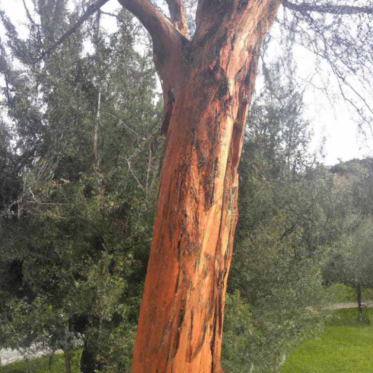 Ruyada Buyuk Agac Gormek