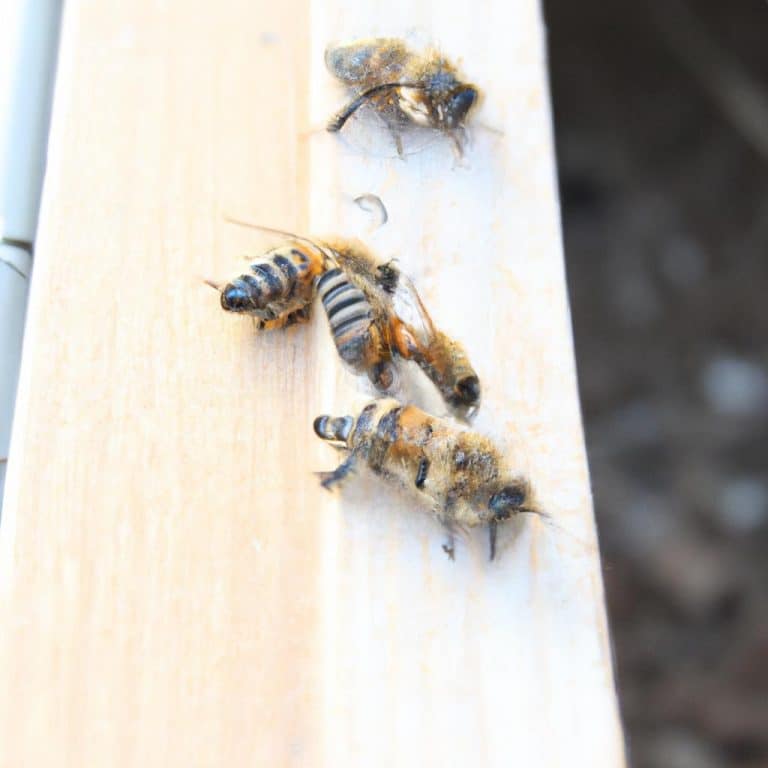 Ruyada Buyuk Ari Gormek