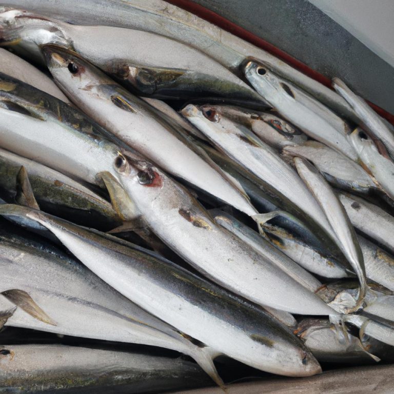 Ruyada Buyuk Balik Gormek Diyanet