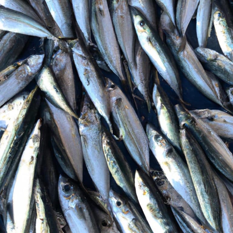 Ruyada Buyuk Balik Gormek Islami