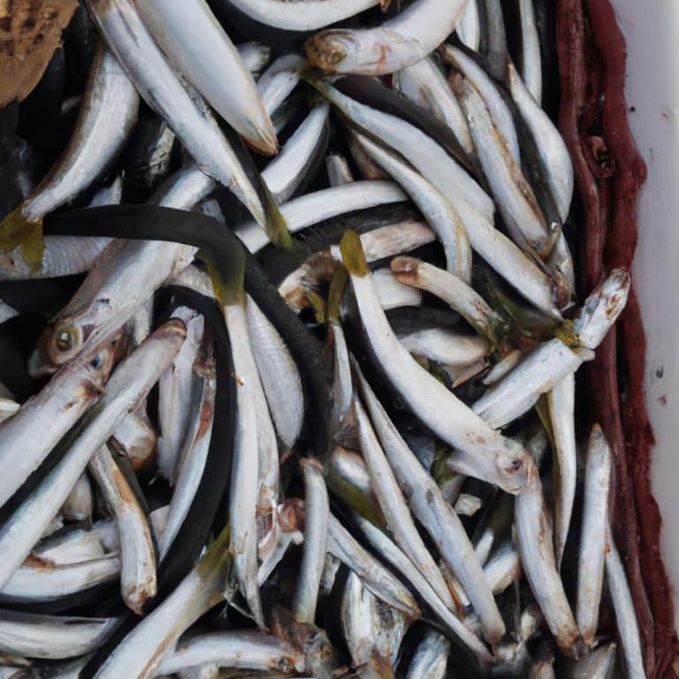 Ruyada Buyuk Balik Tutmak