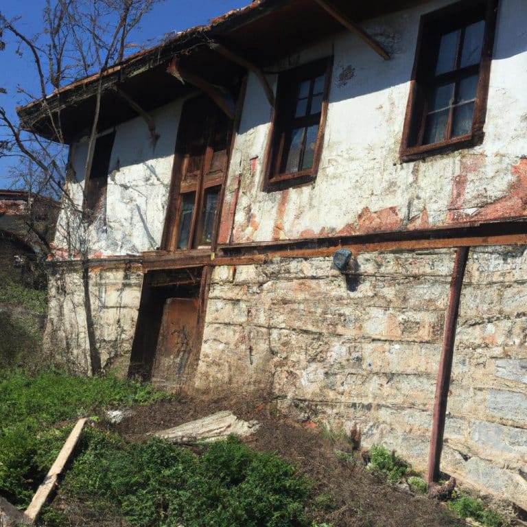 Ruyada Buyuk Ev Gormek