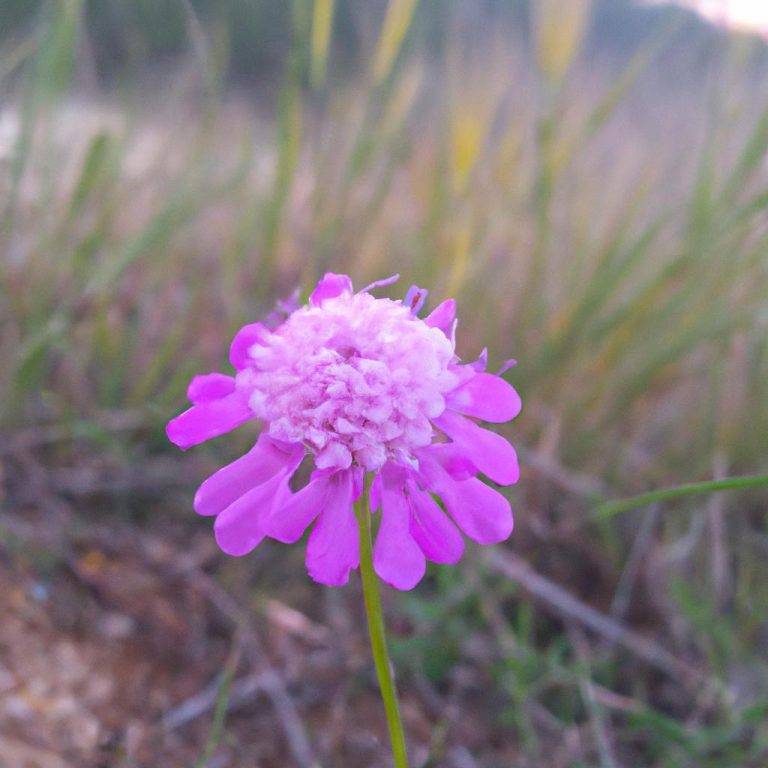 Ruyada Buyuk Oglunu Gormek