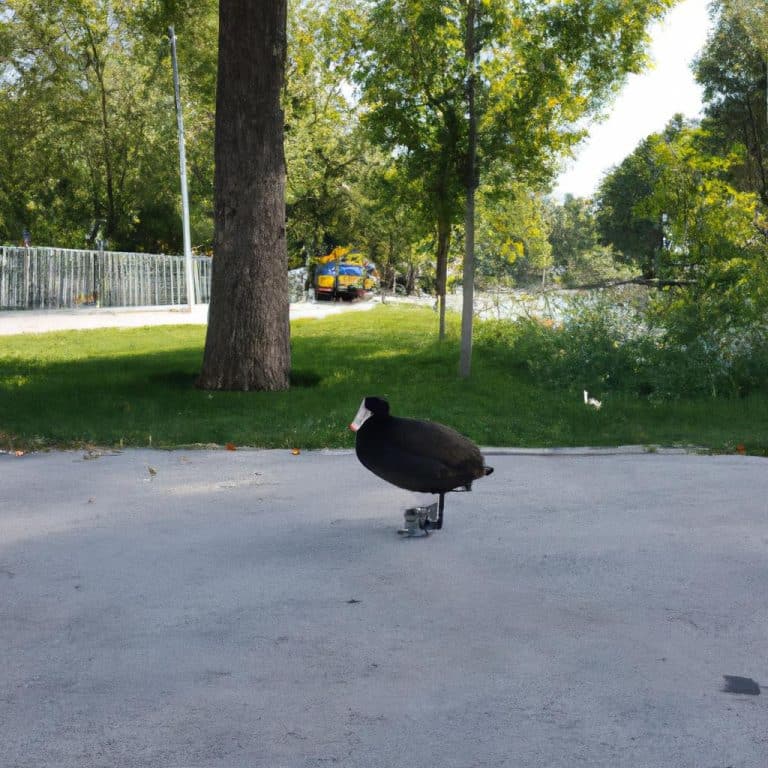 Ruyada Buyuk Siyah Yilan Gormek