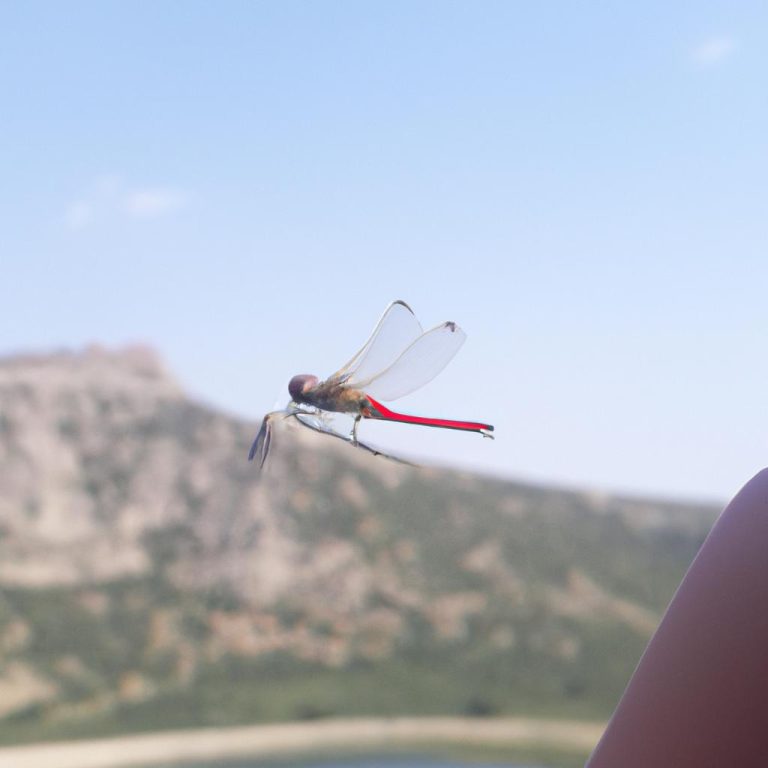 Ruyada Buyuk Ucak Gormek