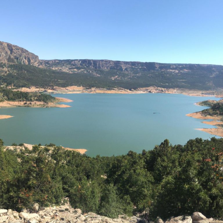 Ruyada Canli Hindi Gormek