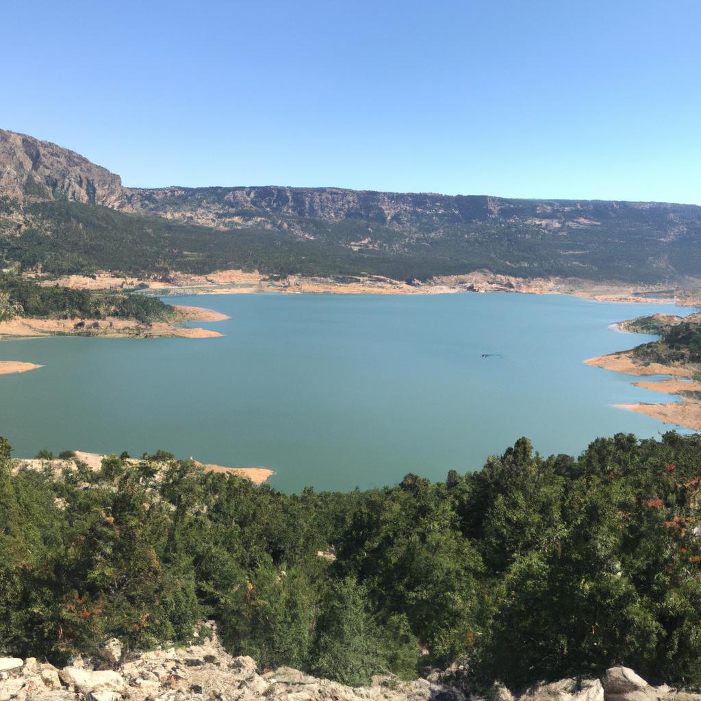 Ruyada Canli Hindi Gormek