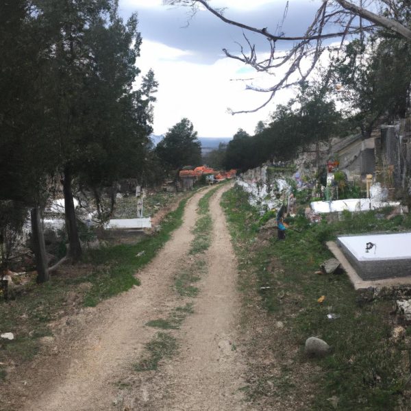 Ruyada Cenaze Evine Gitmek