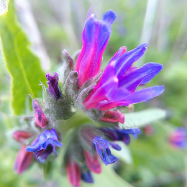 Ruyada Cicek Actigini Gormek