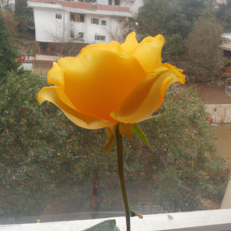 Ruyada Cinsel Organinin Buyudugunu Gormek