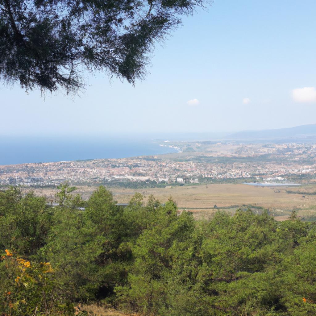 Ruyada Cis Gormek
