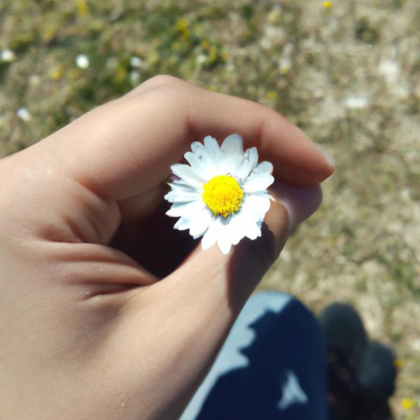 Ruyada Cok Aglamak Ne Anlama Gelir