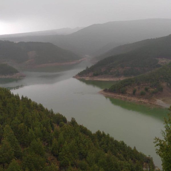 Ruyada Cok Buyuk Yilan Gormek