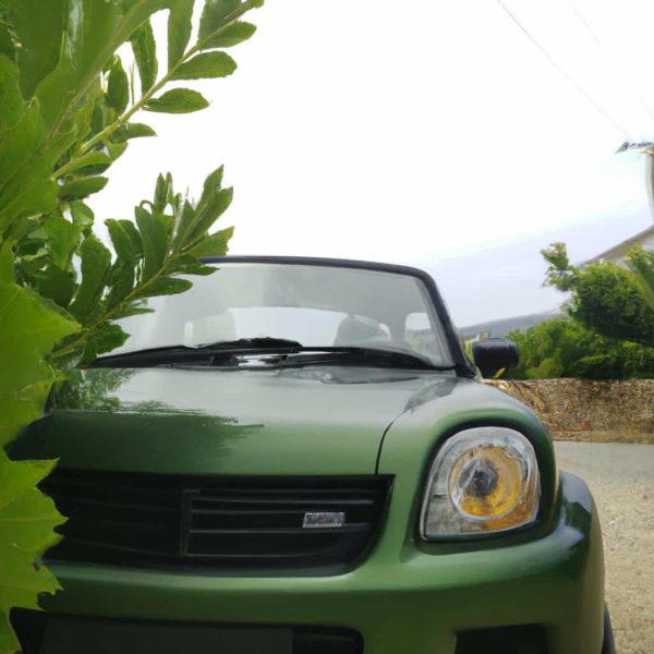 Ruyada Cok Hizli Araba Surmek