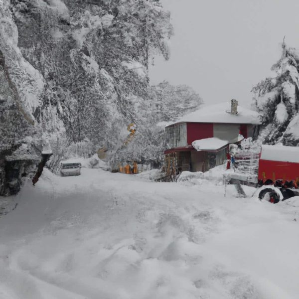 Ruyada Cok Kar Gormek
