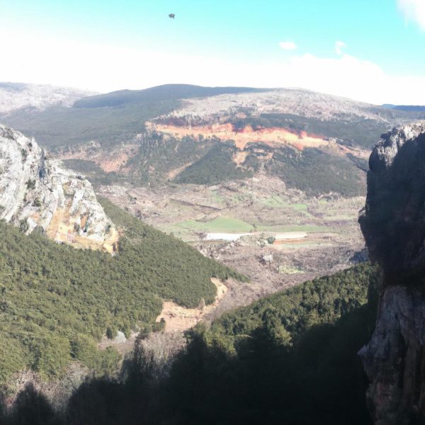 Ruyada Cok Yilan Gormek