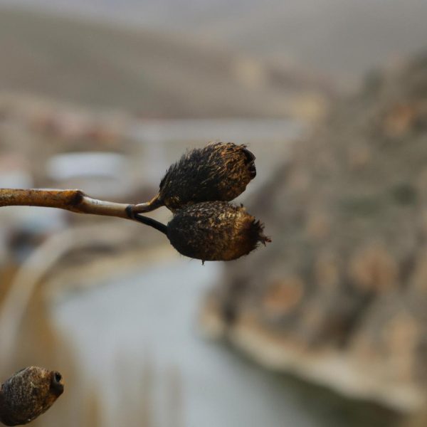 Ruyada Corap Gormek Ne Anlama Gelir