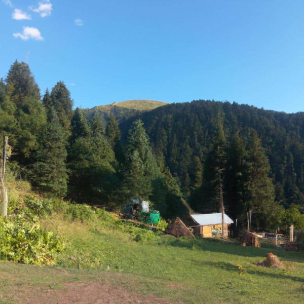 Ruyada Cumhurbaskanini Gormek Ne Anlama Gelir