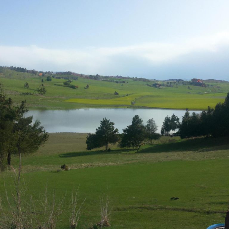 Ruyada Cumhurbaskaninin Oldugunu Gormek