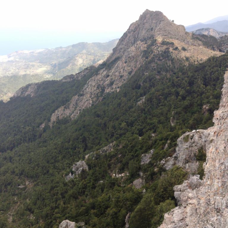 Ruyada Dag Kecisi Gormek