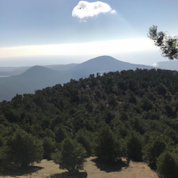 Ruyada Dagin Tepesinde Olmak