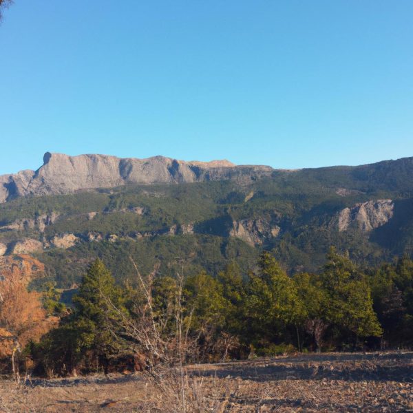 Ruyada Dagin Yikildigini Gormek