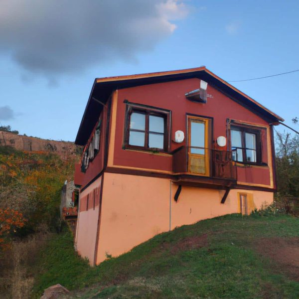 Ruyada Daginik Evi Toplamaya Calismak