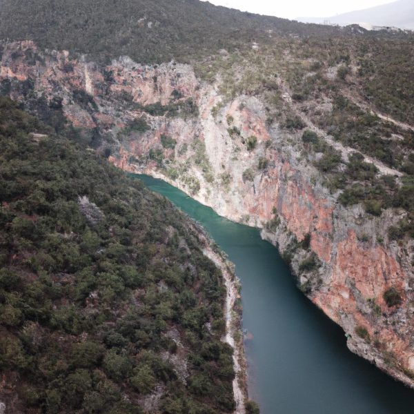 Ruyada Dana Kovalamasi