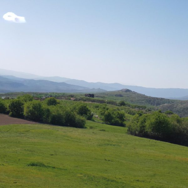 Ruyada Dedemin Oldugunu Gormek