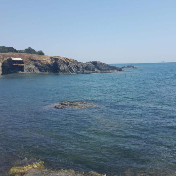 Ruyada Deniz Kabugu Gormek