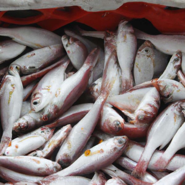 Ruyada Denizde Yuzen Balik Gormek