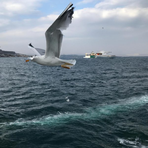 Ruyada Denizin Ustunde Ucmak