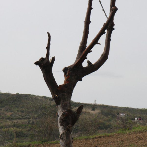 Ruyada Deprem Oldugunu Gormek Ne Demektir