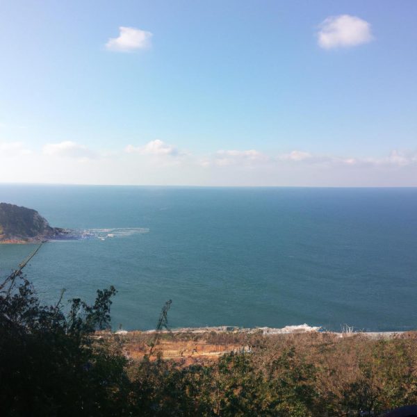 Ruyada Derin Denizde Yuzmek