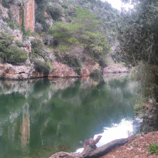 Ruyada Ders Calismak