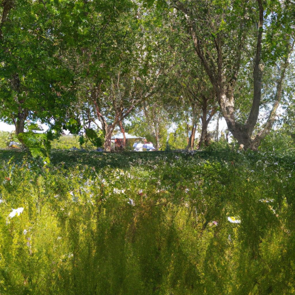 Ruyada Deve Gormek Ne Anlama Gelir