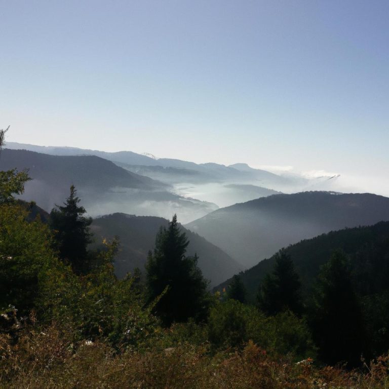 Ruyada Dis Cikmasi Ne Demek