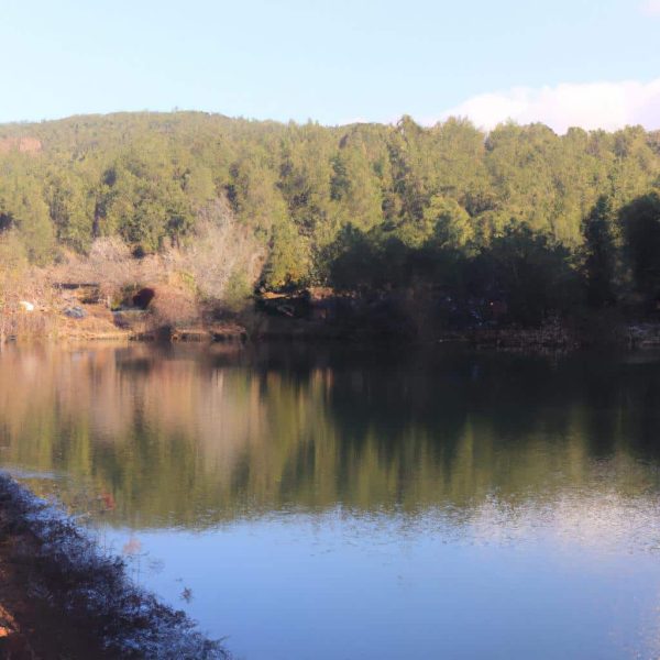 Ruyada Dis Ciktigini Gormek