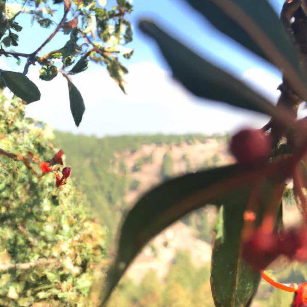 Ruyada Dis Macunu Gormek
