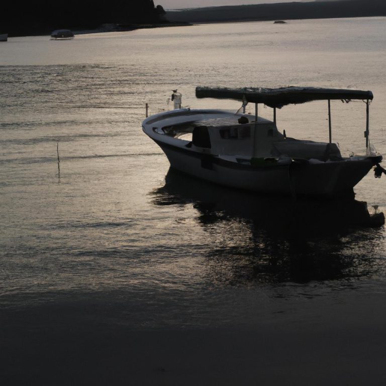 Ruyada Disin Kanamasi